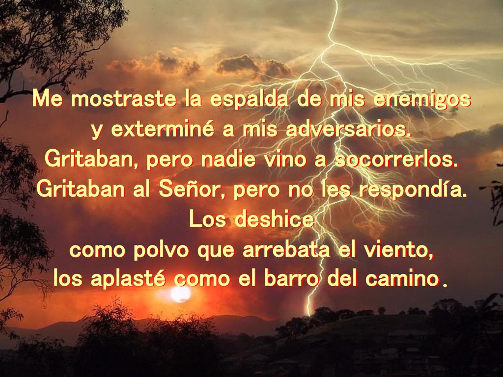 Me mostraste la espalda de mis enemigos y exterminé a mis adversarios.