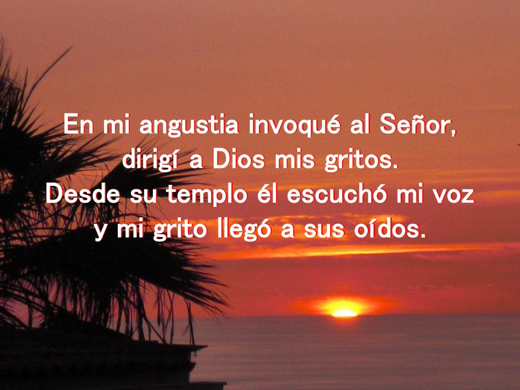 En mi angustia invoqué al Señor, dirigí a Dios mis gritos.