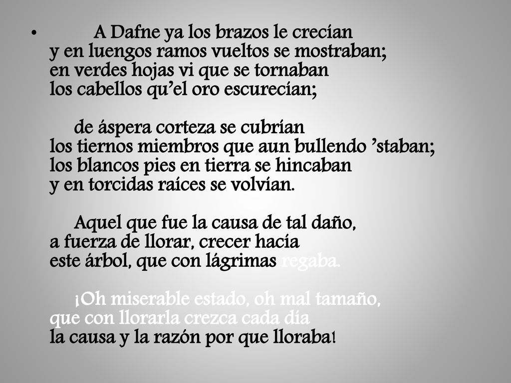 A Dafne ya los brazos le crecían y en luengos ramos vueltos se mostraban; en verdes hojas vi que se tornaban los cabellos qu’el oro escurecían; de áspera corteza se cubrían los tiernos miembros que aun bullendo ’staban; los blancos pies en tierra se hincaban y en torcidas raíces se volvían.