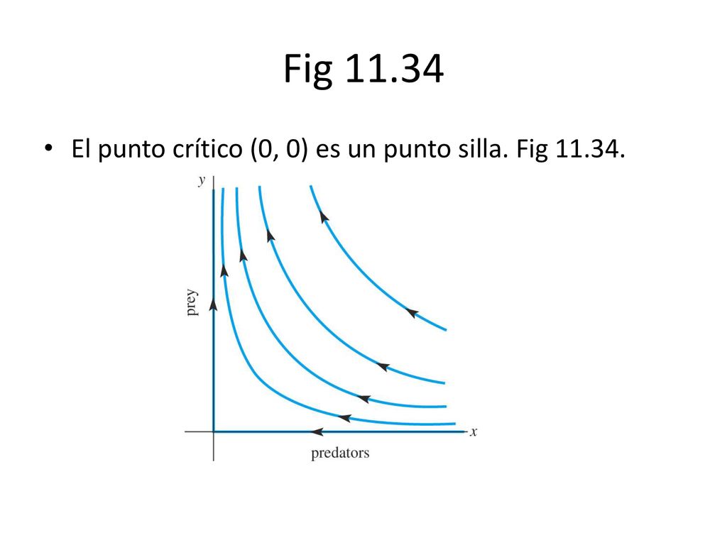 Fig El punto crítico (0, 0) es un punto silla. Fig