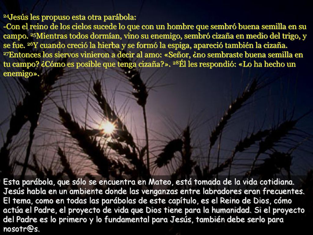 24Jesús les propuso esta otra parábola: -Con el reino de los cielos sucede lo que con un hombre que sembró buena semilla en su campo. 25Mientras todos dormían, vino su enemigo, sembró cizaña en medio del trigo, y se fue. 26Y cuando creció la hierba y se formó la espiga, apareció también la cizaña. 27Entonces los siervos vinieron a decir al amo: «Señor, ¿no sembraste buena semilla en tu campo ¿Cómo es posible que tenga cizaña ». 28Él les respondió: «Lo ha hecho un enemigo».