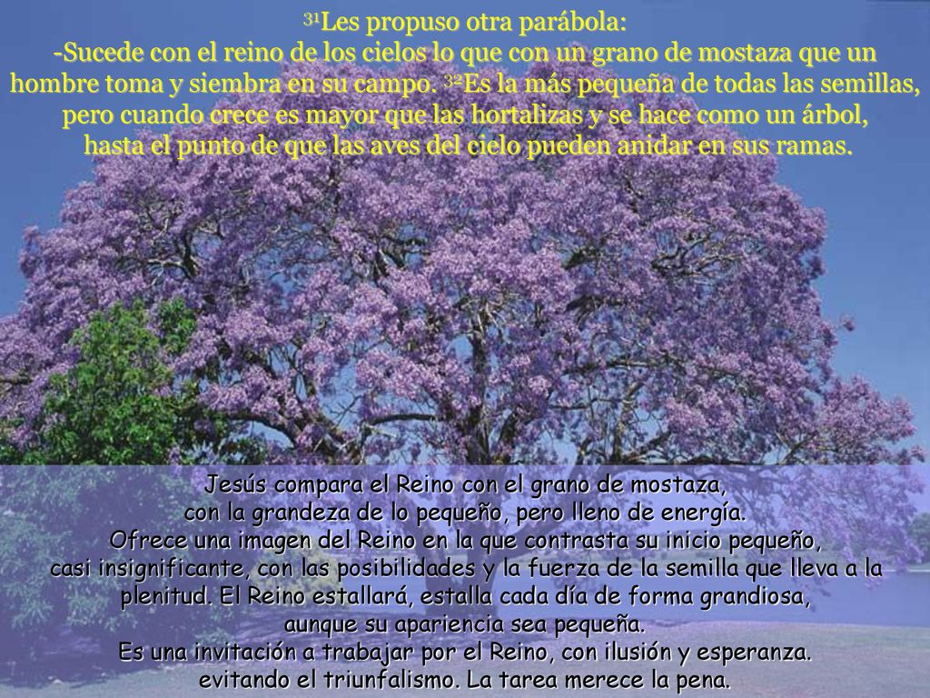 31Les propuso otra parábola: -Sucede con el reino de los cielos lo que con un grano de mostaza que un hombre toma y siembra en su campo. 32Es la más pequeña de todas las semillas, pero cuando crece es mayor que las hortalizas y se hace como un árbol, hasta el punto de que las aves del cielo pueden anidar en sus ramas.