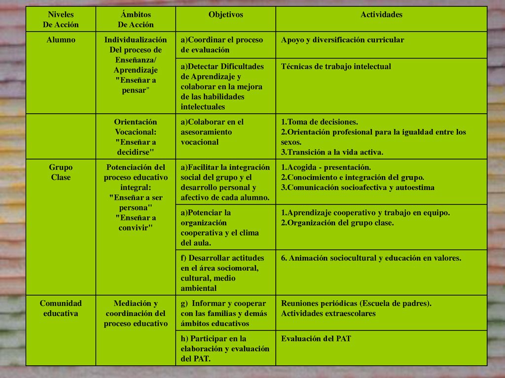 Coordinar el proceso de evaluación Apoyo y diversificación curricular