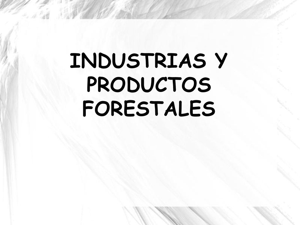INDUSTRIAS Y PRODUCTOS FORESTALES