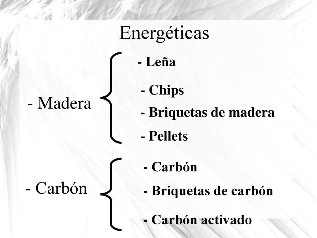 Energéticas - Madera - Carbón - Leña - Chips - Briquetas de madera