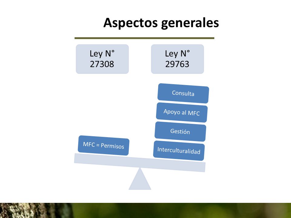 Aspectos generales Ley N° Ley N° Consulta Apoyo al MFC