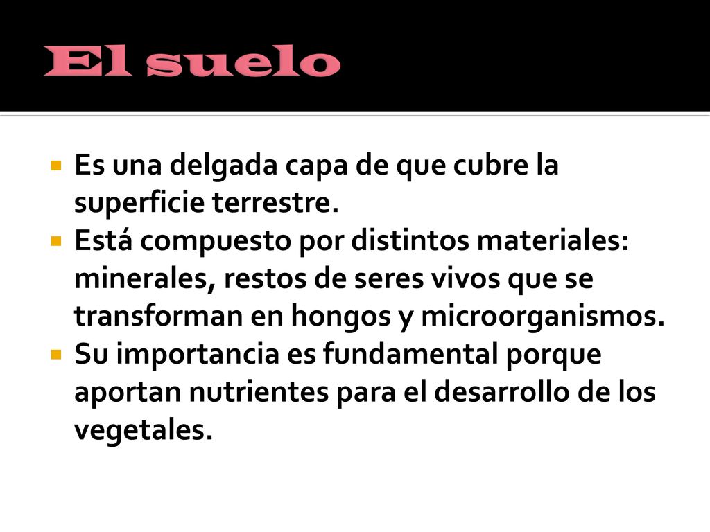 El suelo Es una delgada capa de que cubre la superficie terrestre.