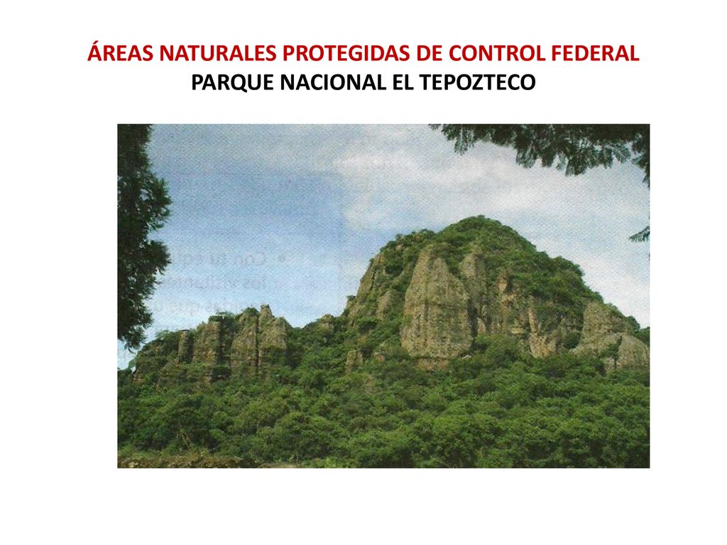 ÁREAS NATURALES PROTEGIDAS DE CONTROL FEDERAL PARQUE NACIONAL EL TEPOZTECO