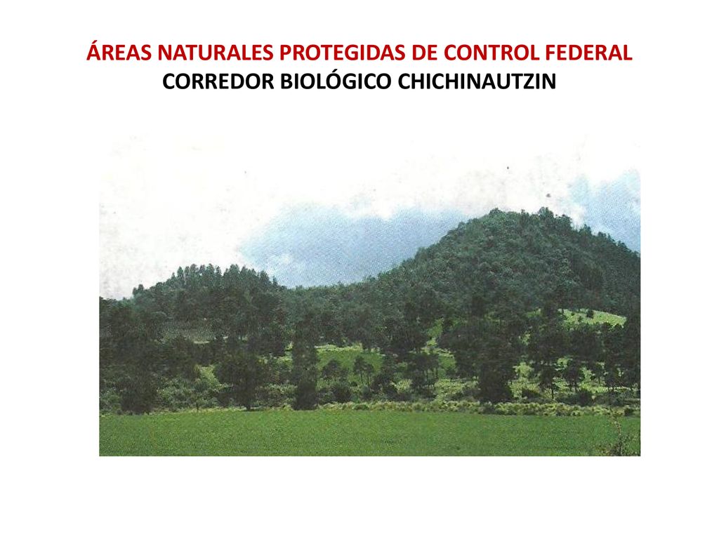 ÁREAS NATURALES PROTEGIDAS DE CONTROL FEDERAL CORREDOR BIOLÓGICO CHICHINAUTZIN