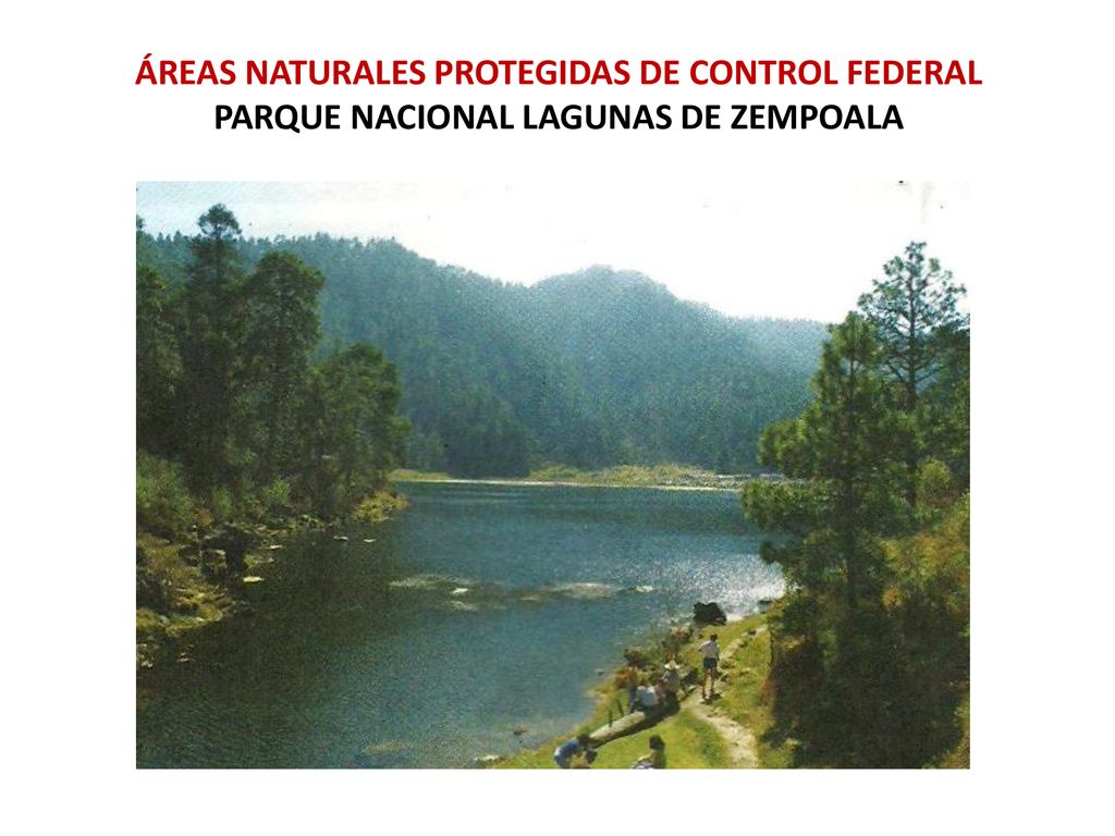 ÁREAS NATURALES PROTEGIDAS DE CONTROL FEDERAL PARQUE NACIONAL LAGUNAS DE ZEMPOALA