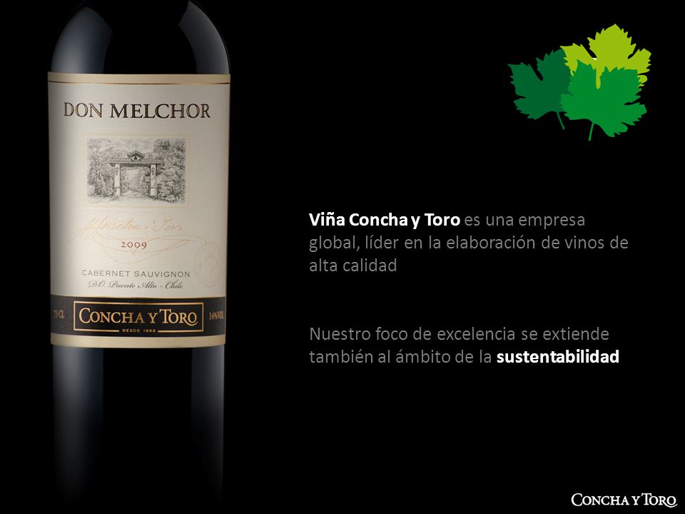 Viña Concha y Toro es una empresa global, líder en la elaboración de vinos de alta calidad