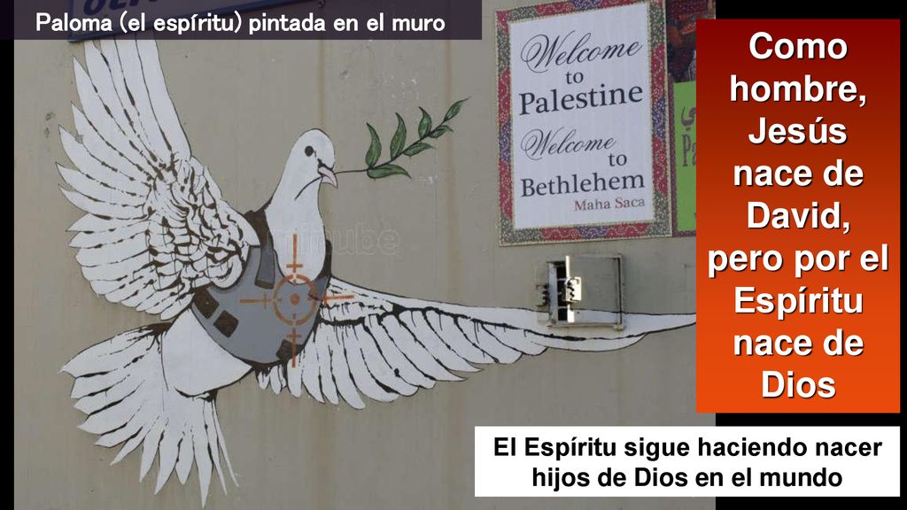 Como hombre, Jesús nace de David, pero por el Espíritu nace de Dios