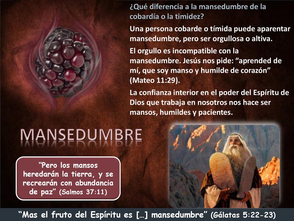 Mas el fruto del Espíritu es […] mansedumbre (Gálatas 5:22-23)