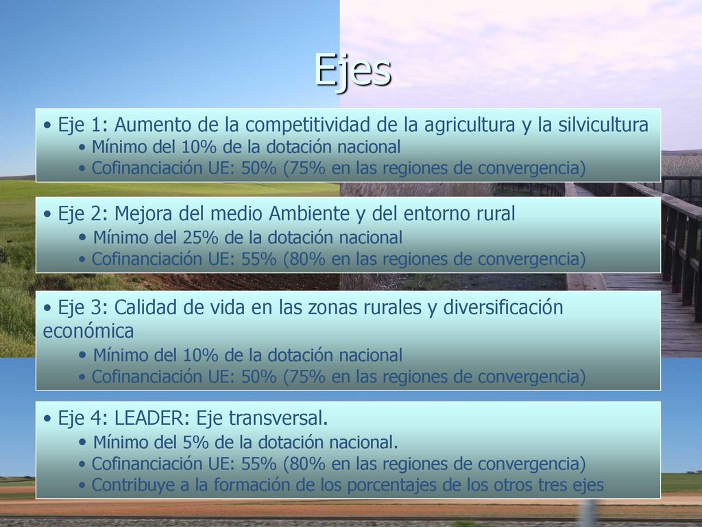 Ejes Eje 1: Aumento de la competitividad de la agricultura y la silvicultura. Mínimo del 10% de la dotación nacional.