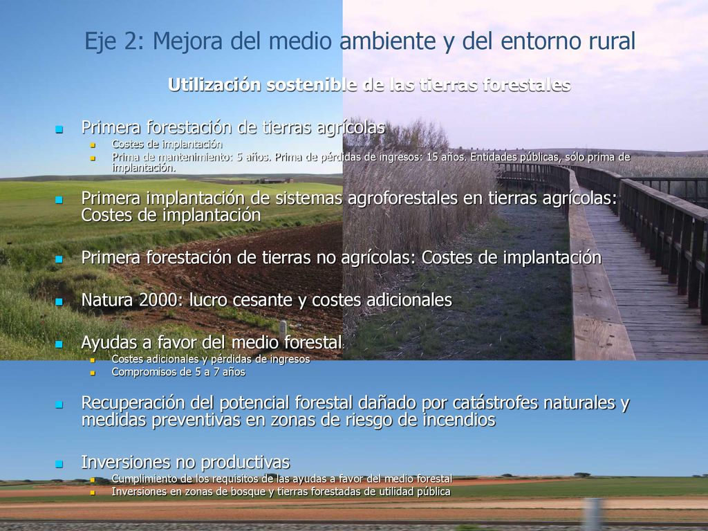 Eje 2: Mejora del medio ambiente y del entorno rural