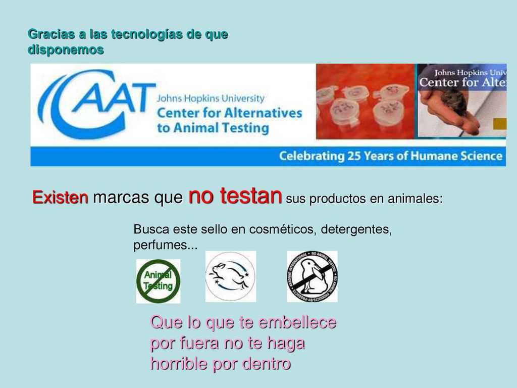 Existen marcas que no testan sus productos en animales: