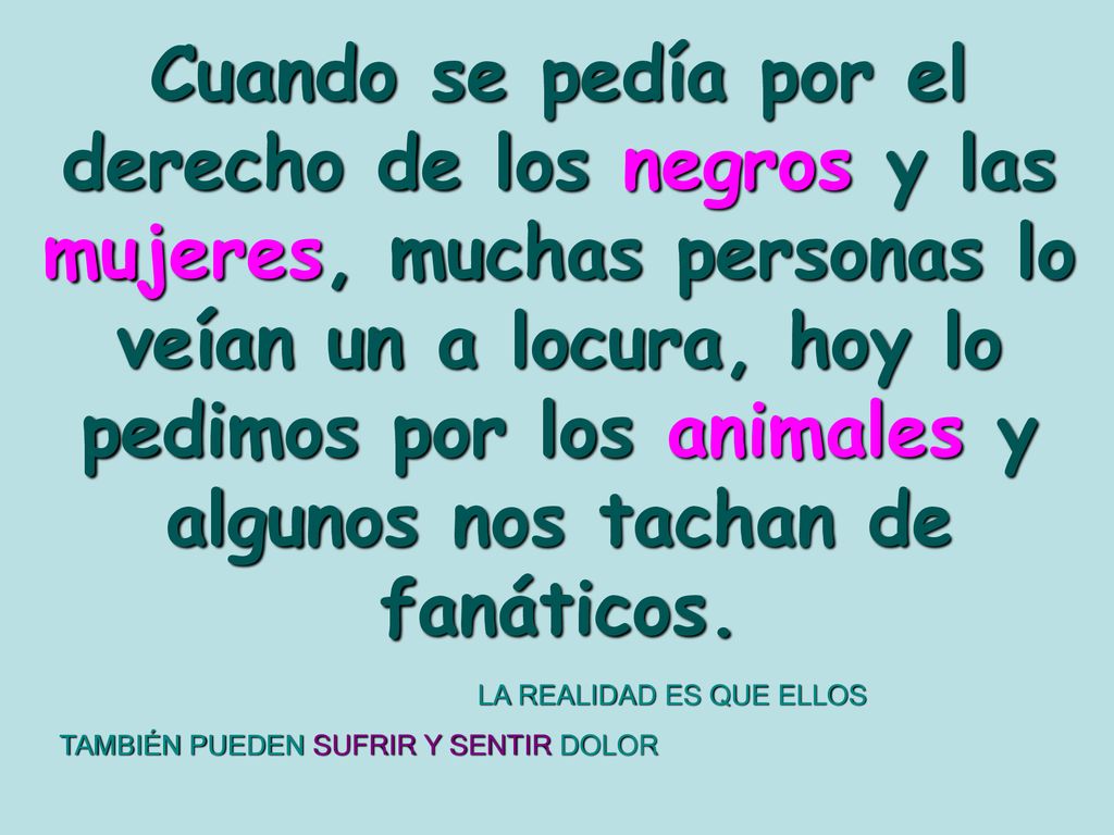 Cuando se pedía por el derecho de los negros y las mujeres, muchas personas lo veían un a locura, hoy lo pedimos por los animales y algunos nos tachan de fanáticos.