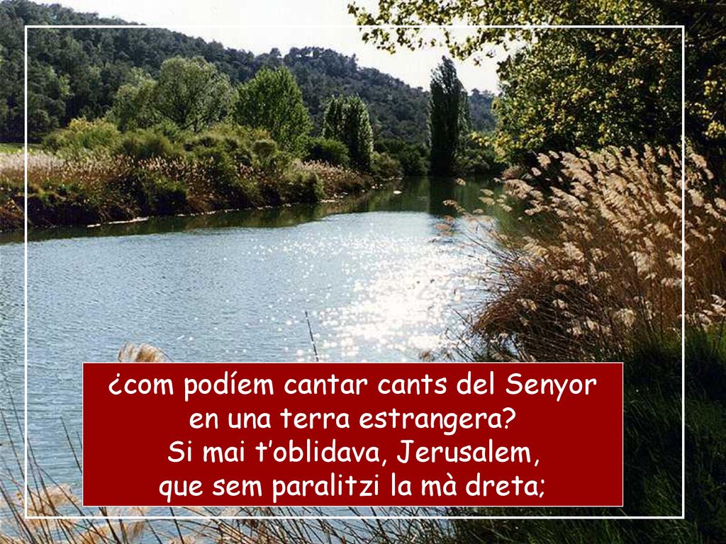 ¿com podíem cantar cants del Senyor en una terra estrangera