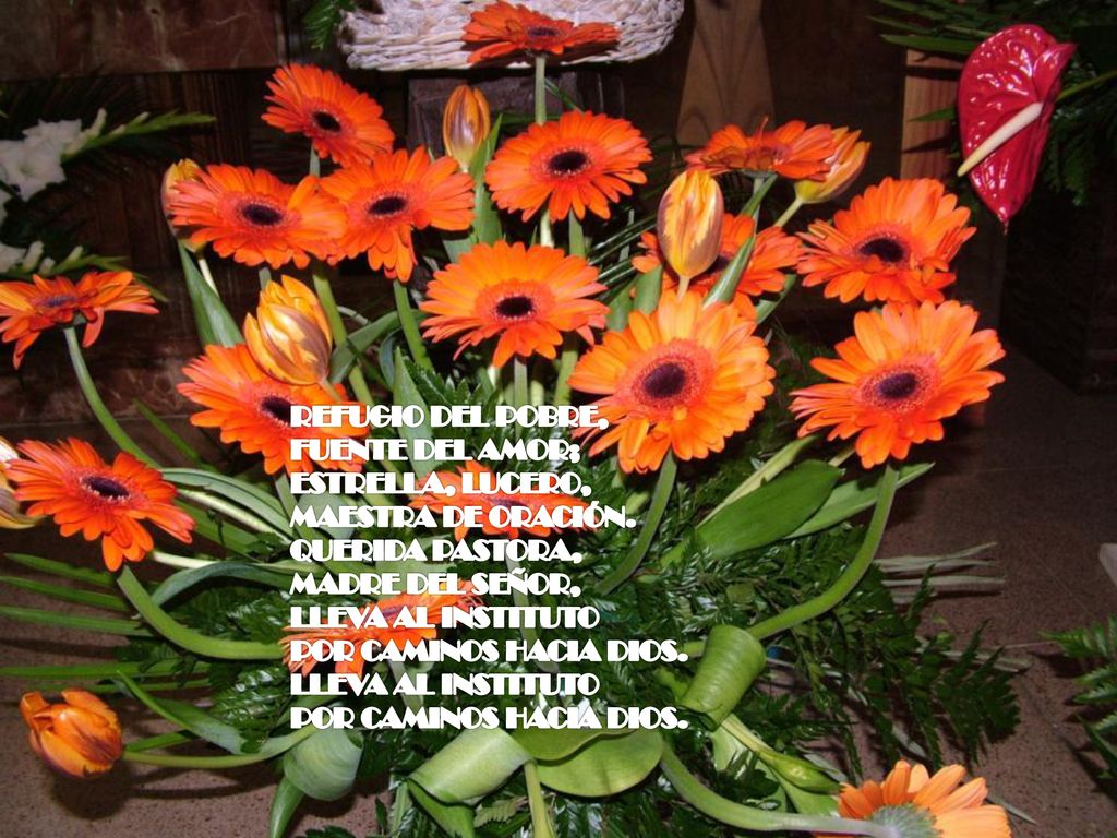 REFUGIO DEL POBRE, FUENTE DEL AMOR; ESTRELLA, LUCERO, MAESTRA DE ORACIÓN. QUERIDA PASTORA, MADRE DEL SEÑOR,