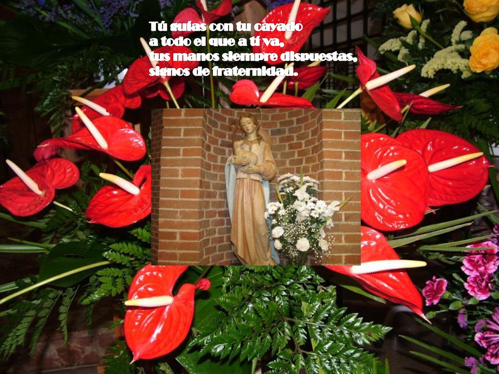 Tú guías con tu cayado a todo el que a tí va, tus manos siempre dispuestas, signos de fraternidad.