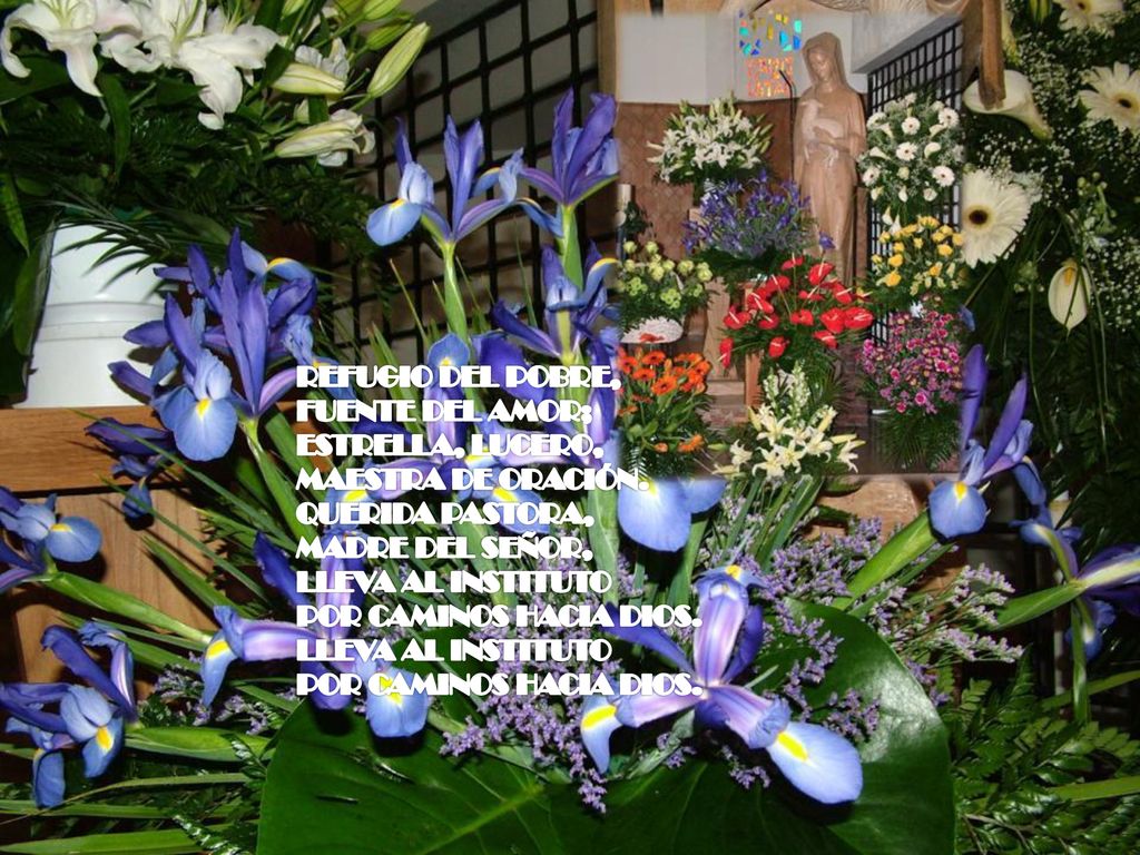 REFUGIO DEL POBRE, FUENTE DEL AMOR; ESTRELLA, LUCERO, MAESTRA DE ORACIÓN. QUERIDA PASTORA, MADRE DEL SEÑOR,