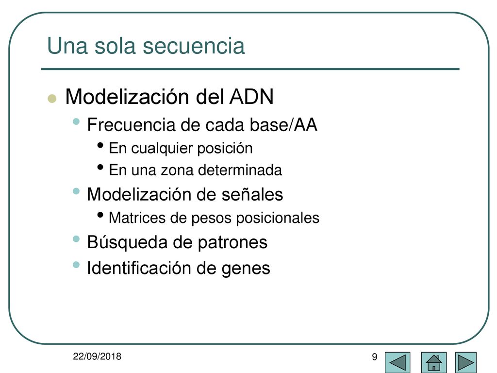 Una sola secuencia Modelización del ADN Frecuencia de cada base/AA