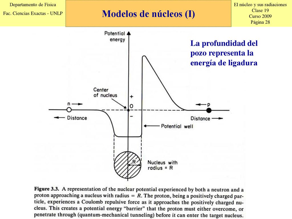 Modelos de núcleos (I) La profundidad del pozo representa la energía de ligadura