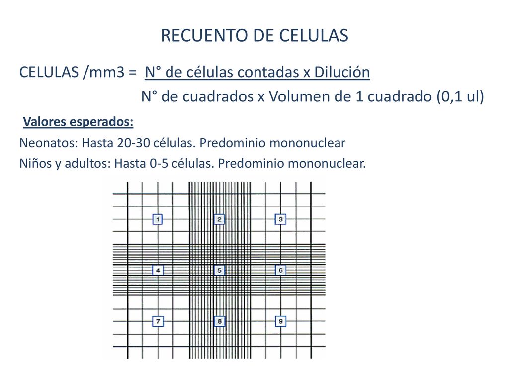 RECUENTO DE CELULAS CELULAS /mm3 = N° de células contadas x Dilución
