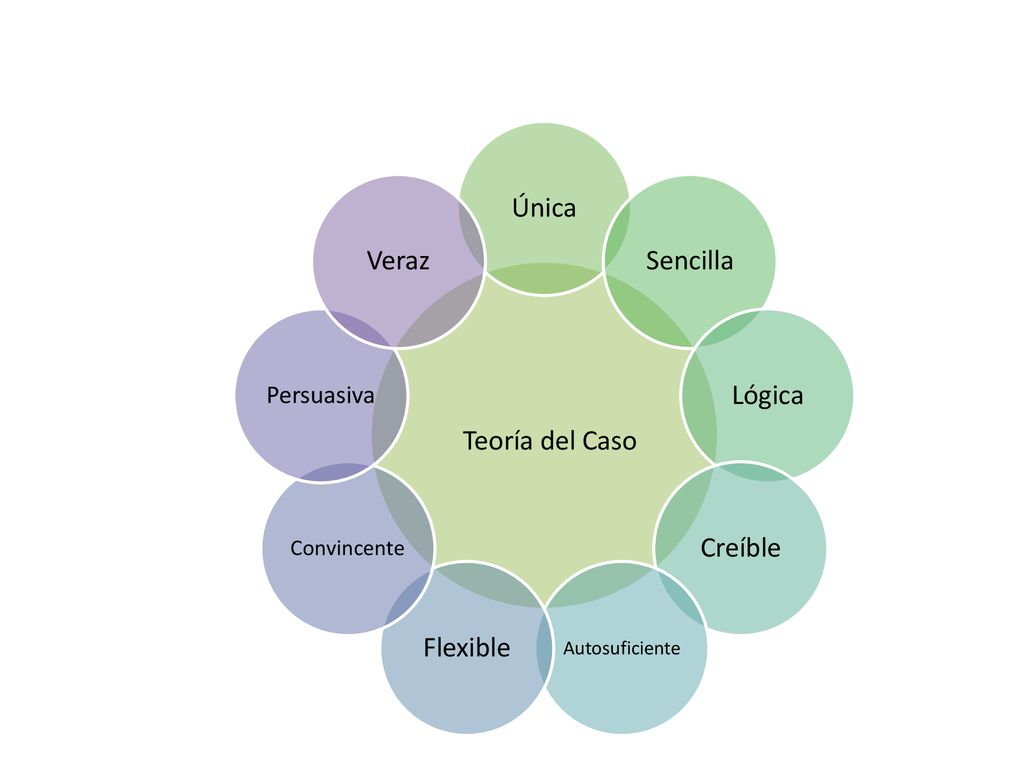 Teoría del Caso Única Sencilla Lógica Creíble Flexible Veraz