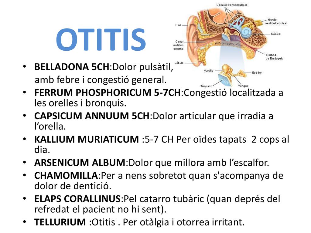OTITIS BELLADONA 5CH:Dolor pulsàtil, amb febre i congestió general.