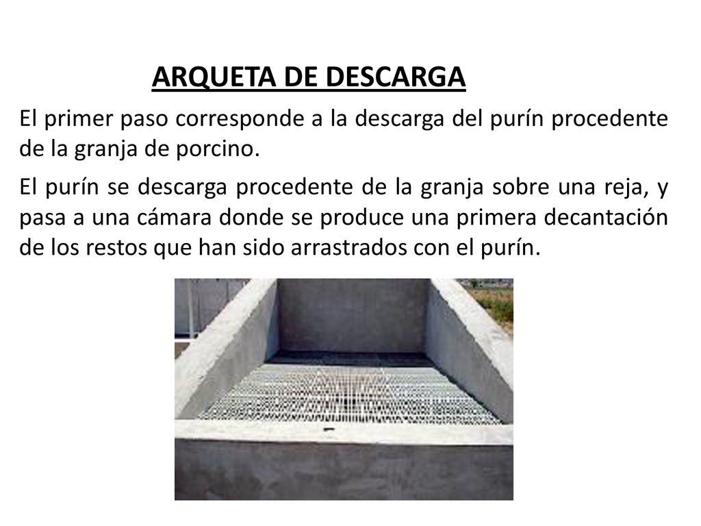 ARQUETA DE DESCARGA El primer paso corresponde a la descarga del purín procedente de la granja de porcino.