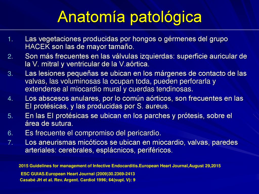 Anatomía patológica Las vegetaciones producidas por hongos o gérmenes del grupo HACEK son las de mayor tamaño.