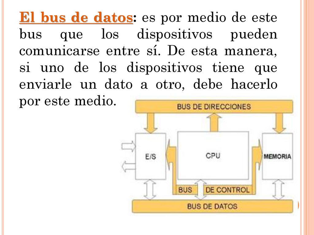 El bus de datos: es por medio de este bus que los dispositivos pueden comunicarse entre sí.
