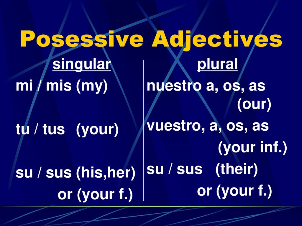 Posessive Adjectives singular mi / mis (my) tu / tus (your)