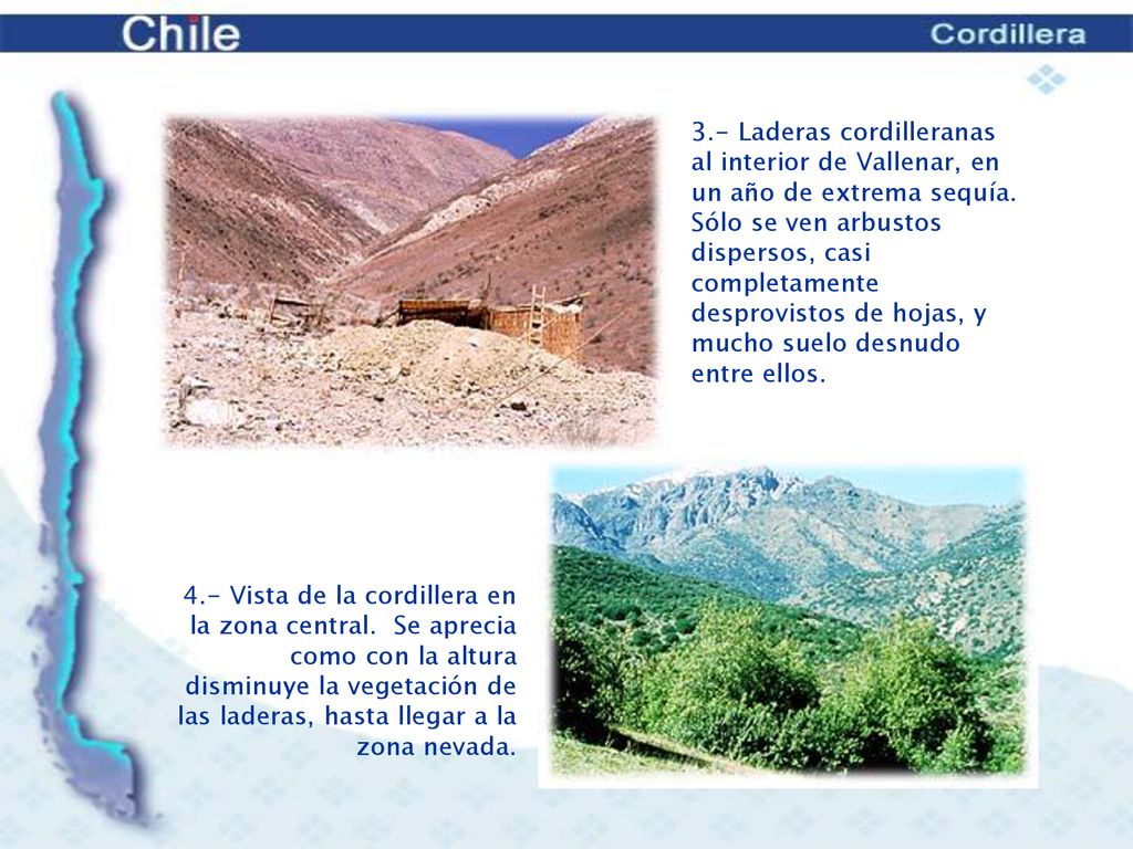 3.- Laderas cordilleranas al interior de Vallenar, en un año de extrema sequía. Sólo se ven arbustos dispersos, casi completamente desprovistos de hojas, y mucho suelo desnudo entre ellos.