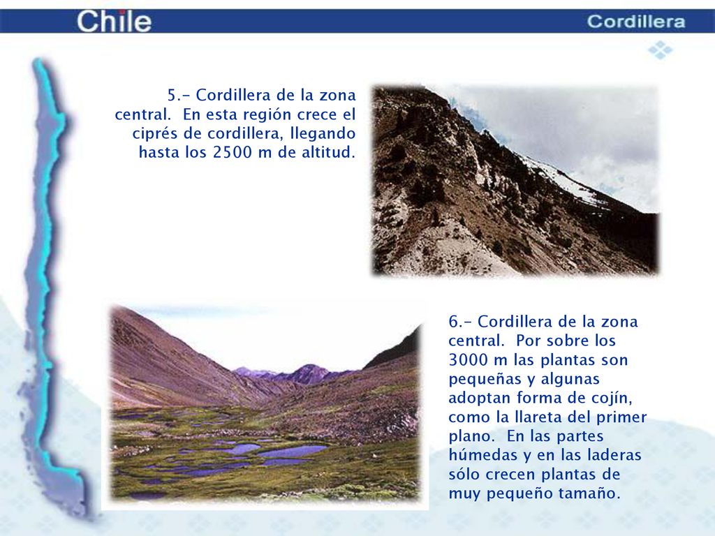 5. - Cordillera de la zona central