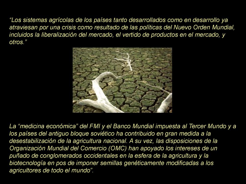 Los sistemas agrícolas de los países tanto desarrollados como en desarrollo ya atraviesan por una crisis como resultado de las políticas del Nuevo Orden Mundial, incluidos la liberalización del mercado, el vertido de productos en el mercado, y otros.