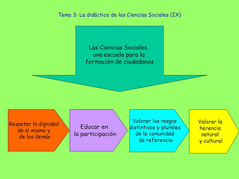 Tema 3: La didáctica de las Ciencias Sociales (IX)