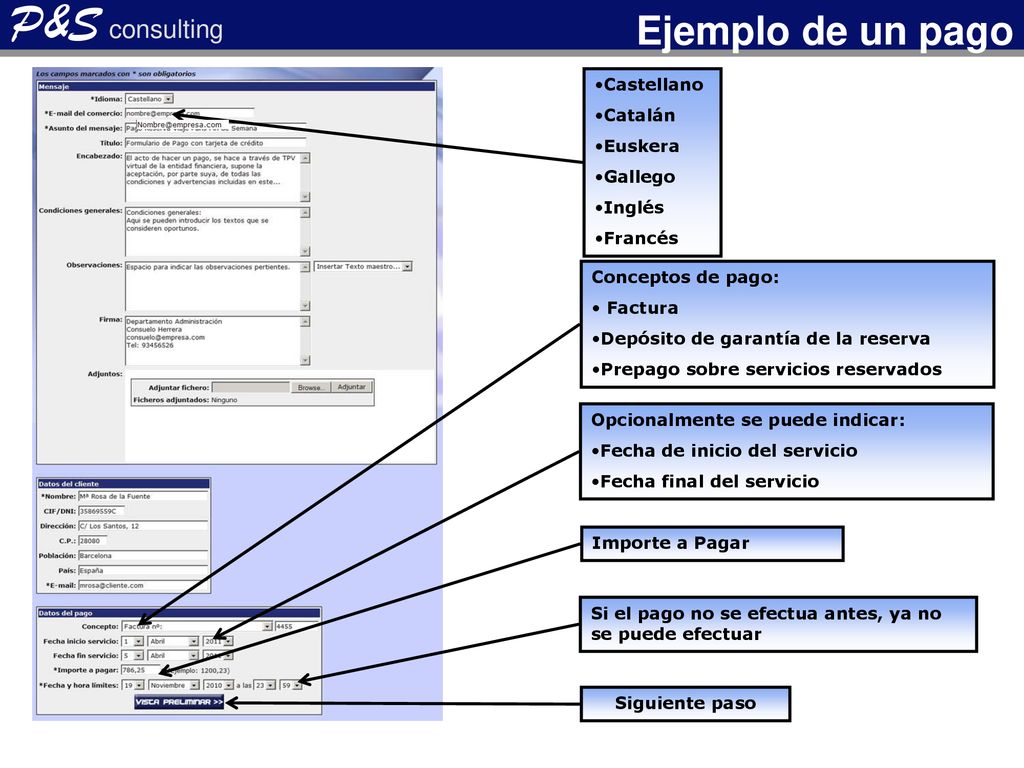 P&S consulting Ejemplo de un pago Castellano Catalán Euskera Gallego
