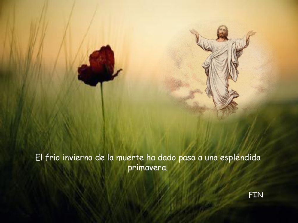 El frío invierno de la muerte ha dado paso a una espléndida primavera.