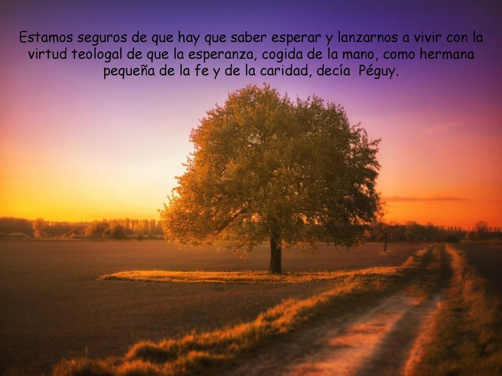 Estamos seguros de que hay que saber esperar y lanzarnos a vivir con la virtud teologal de que la esperanza, cogida de la mano, como hermana pequeña de la fe y de la caridad, decía Péguy.