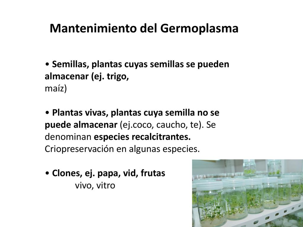 Mejoramiento Genetico Vegetal Unidad 1 Introduccion Al Mgv Ppt