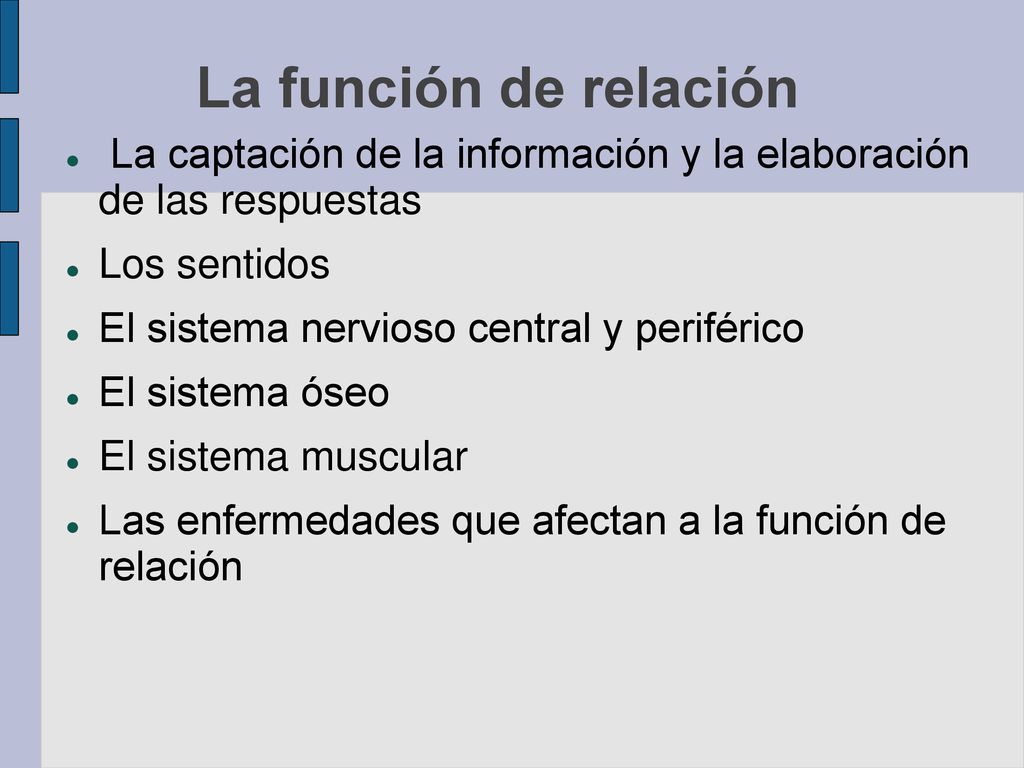La función de relación La captación de la información y la elaboración de las respuestas. Los sentidos.