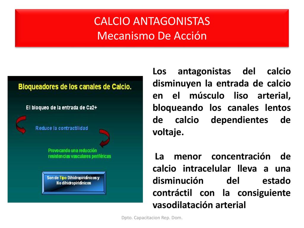 CALCIO ANTAGONISTAS Mecanismo De Acción