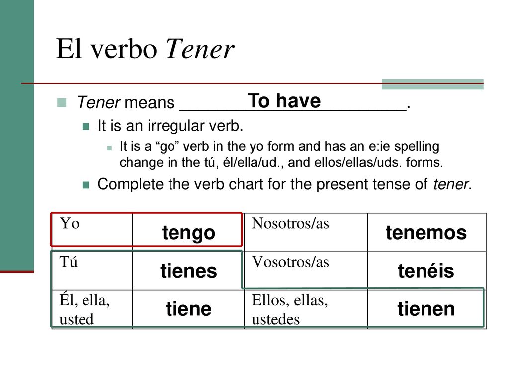 El verbo Tener To have tengo tenemos tienes tenéis tiene tienen