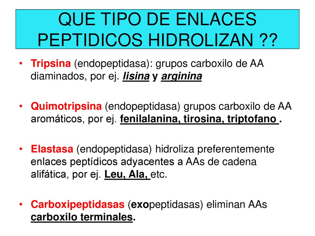 QUE TIPO DE ENLACES PEPTIDICOS HIDROLIZAN