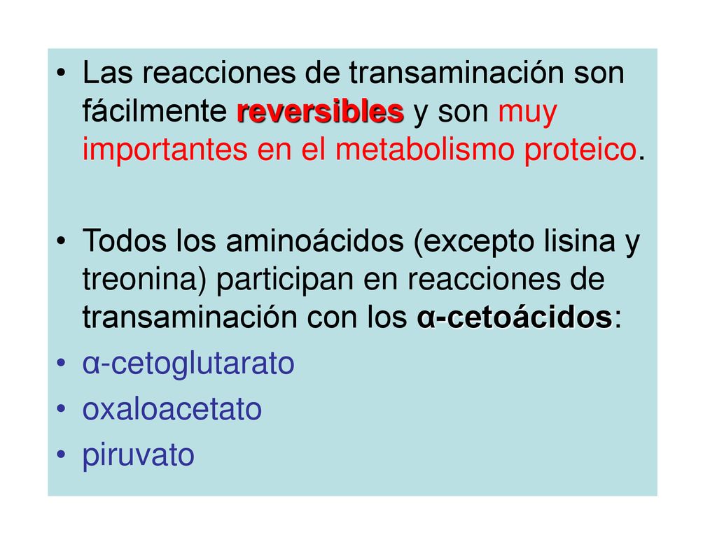 Las reacciones de transaminación son fácilmente reversibles y son muy importantes en el metabolismo proteico.