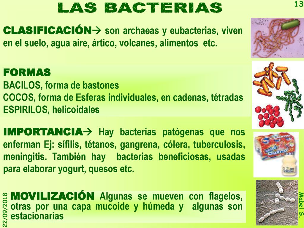 LAS BACTERIAS CLASIFICACIÓN son archaeas y eubacterias, viven en el suelo, agua aire, ártico, volcanes, alimentos etc.