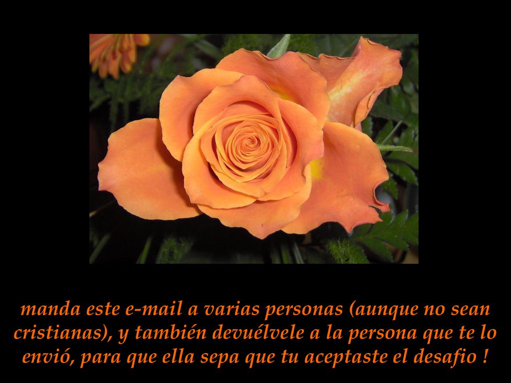 manda este  a varias personas (aunque no sean cristianas), y también devuélvele a la persona que te lo envió, para que ella sepa que tu aceptaste el desafio !