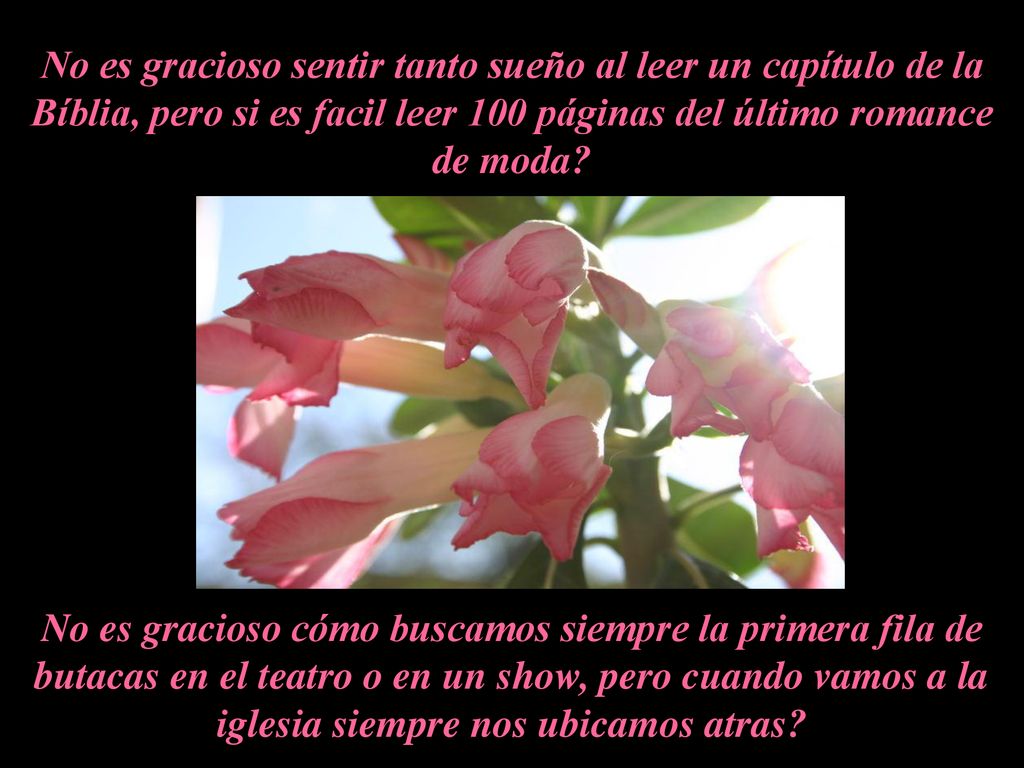 No es gracioso sentir tanto sueño al leer un capítulo de la Bíblia, pero si es facil leer 100 páginas del último romance de moda